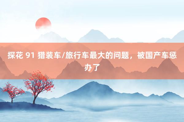 探花 91 猎装车/旅行车最大的问题，被国产车惩办了