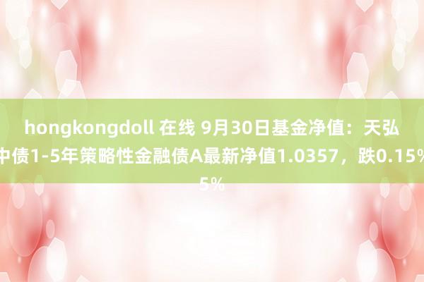 hongkongdoll 在线 9月30日基金净值：天弘中债1-5年策略性金融债A最新净值1.0357，跌0.15%