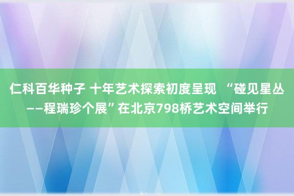 仁科百华种子 十年艺术探索初度呈现  “碰见星丛——程瑞珍个展”在北京798桥艺术空间举行
