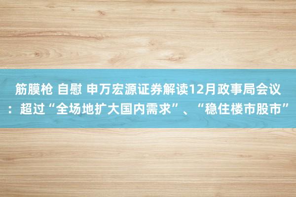 筋膜枪 自慰 申万宏源证券解读12月政事局会议：超过“全场地扩大国内需求”、“稳住楼市股市”