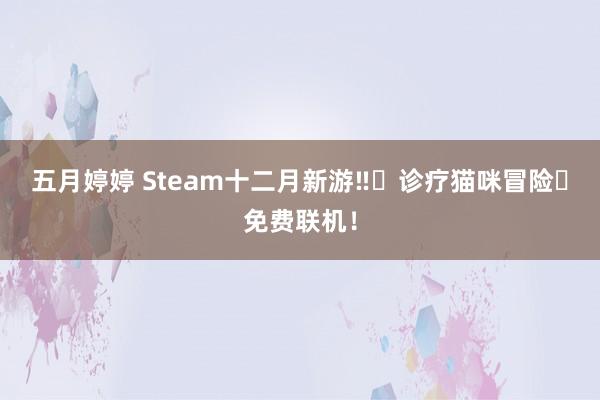 五月婷婷 Steam十二月新游‼️诊疗猫咪冒险➕免费联机!