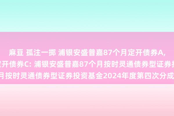 麻豆 孤注一掷 浦银安盛普嘉87个月定开债券A,浦银安盛普嘉87个月定开债券C: 浦银安盛普嘉87个月按时灵通债券型证券投资基金2024年度第四次分成公告