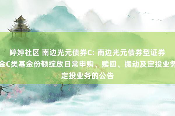婷婷社区 南边光元债券C: 南边光元债券型证券投资基金C类基金份额绽放日常申购、赎回、搬动及定投业务的公告