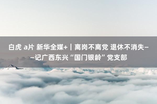 白虎 a片 新华全媒+｜离岗不离党 退休不消失——记广西东兴“国门银龄”党支部