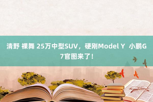 清野 裸舞 25万中型SUV，硬刚Model Y  小鹏G7官图来了！