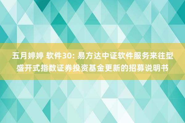五月婷婷 软件30: 易方达中证软件服务来往型盛开式指数证券投资基金更新的招募说明书