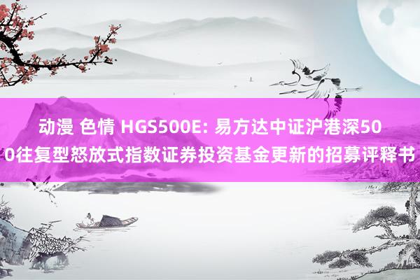 动漫 色情 HGS500E: 易方达中证沪港深500往复型怒放式指数证券投资基金更新的招募评释书