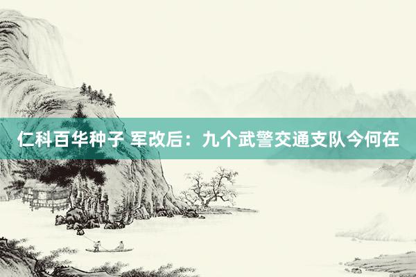仁科百华种子 军改后：九个武警交通支队今何在