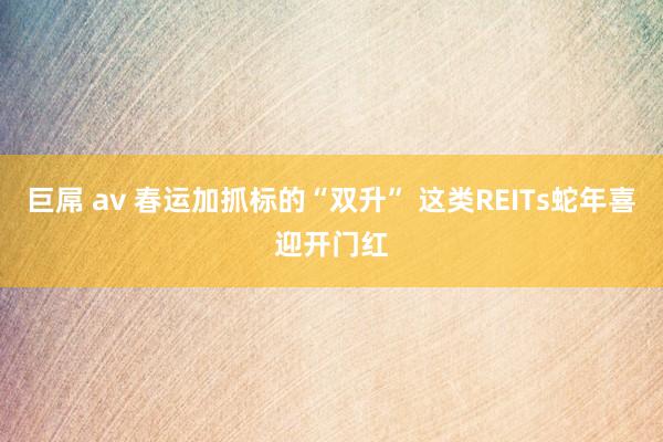 巨屌 av 春运加抓标的“双升” 这类REITs蛇年喜迎开门红