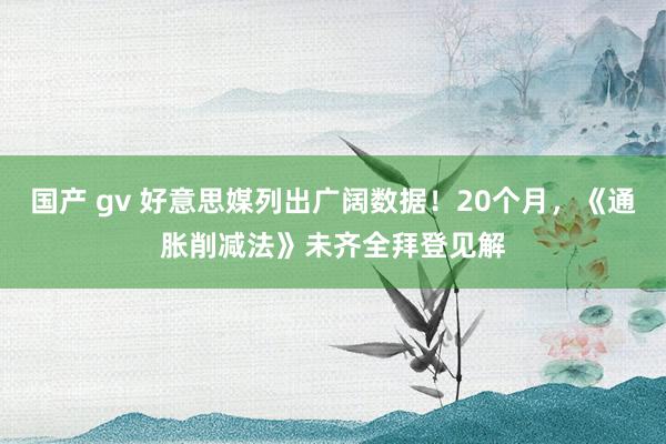 国产 gv 好意思媒列出广阔数据！20个月，《通胀削减法》未齐全拜登见解