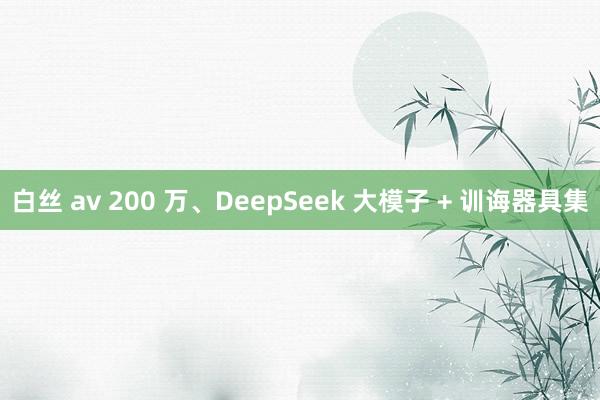 白丝 av 200 万、DeepSeek 大模子 + 训诲器具集