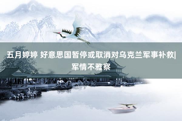 五月婷婷 好意思国暂停或取消对乌克兰军事补救|军情不雅察
