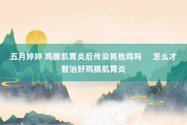 五月婷婷 鸡腺肌胃炎后传染其他鸡吗     怎么才智治好鸡腺肌胃炎