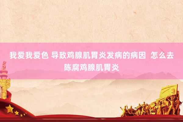 我爱我爱色 导致鸡腺肌胃炎发病的病因  怎么去陈腐鸡腺肌胃炎