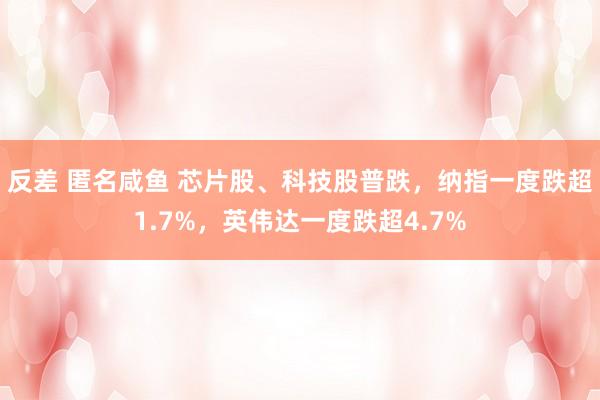 反差 匿名咸鱼 芯片股、科技股普跌，纳指一度跌超1.7%，英伟达一度跌超4.7%