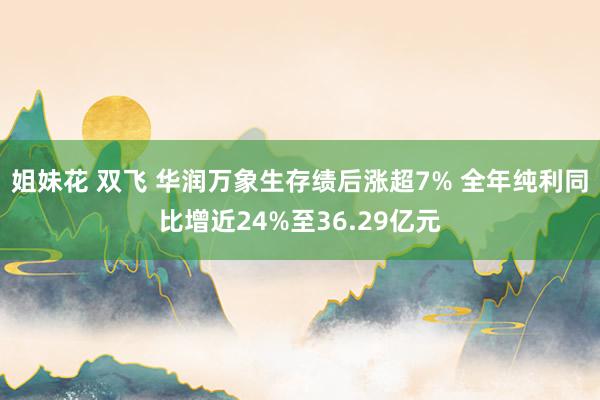 姐妹花 双飞 华润万象生存绩后涨超7% 全年纯利同比增近24%至36.29亿元