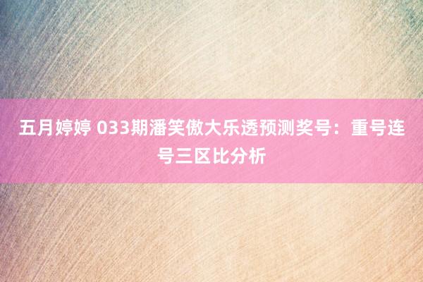 五月婷婷 033期潘笑傲大乐透预测奖号：重号连号三区比分析