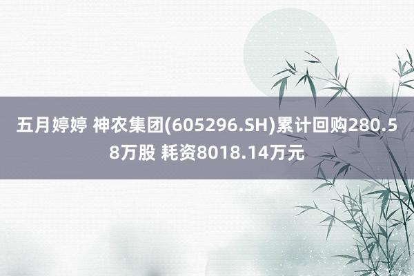 五月婷婷 神农集团(605296.SH)累计回购280.58万股 耗资8018.14万元