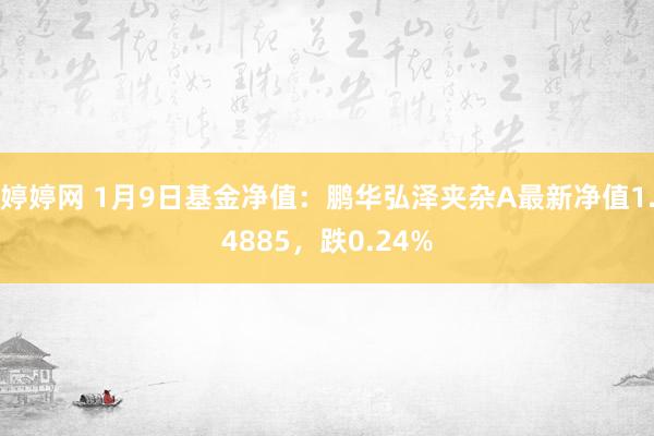 婷婷网 1月9日基金净值：鹏华弘泽夹杂A最新净值1.4885，跌0.24%