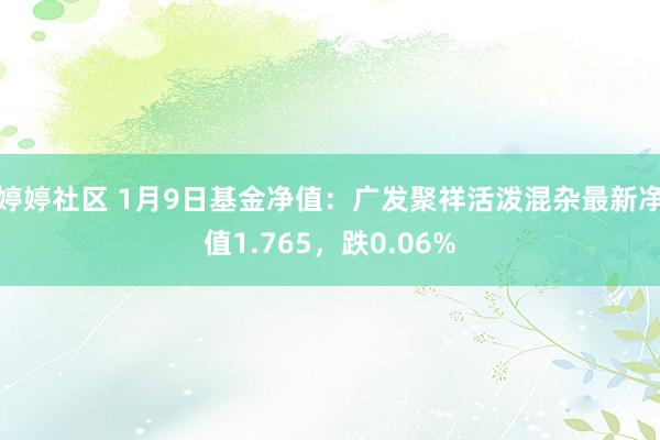 婷婷社区 1月9日基金净值：广发聚祥活泼混杂最新净值1.765，跌0.06%