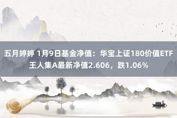 五月婷婷 1月9日基金净值：华宝上证180价值ETF王人集A最新净值2.606，跌1.06%