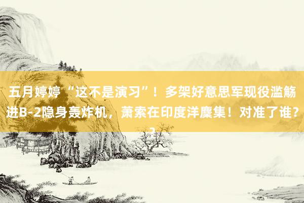 五月婷婷 “这不是演习”！多架好意思军现役滥觞进B-2隐身轰炸机，萧索在印度洋麇集！对准了谁？