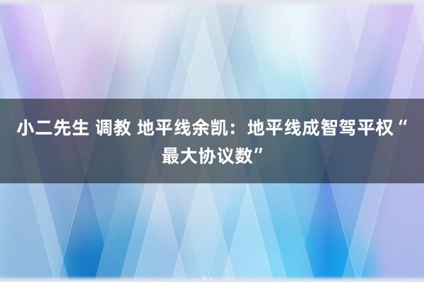 小二先生 调教 地平线余凯：地平线成智驾平权“最大协议数”