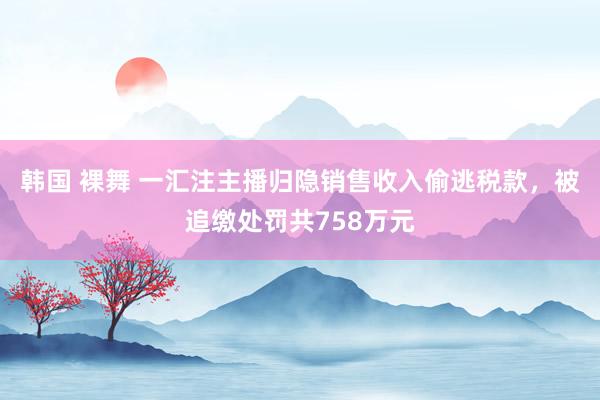 韩国 裸舞 一汇注主播归隐销售收入偷逃税款，被追缴处罚共758万元