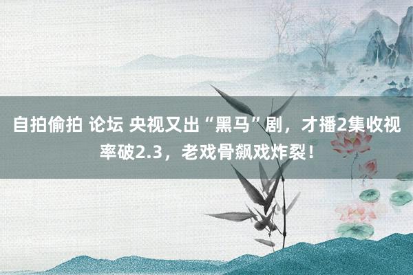 自拍偷拍 论坛 央视又出“黑马”剧，才播2集收视率破2.3，老戏骨飙戏炸裂！