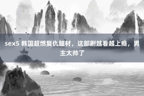 sex5 韩国超燃复仇题材，这部剧越看越上瘾，男主太帅了