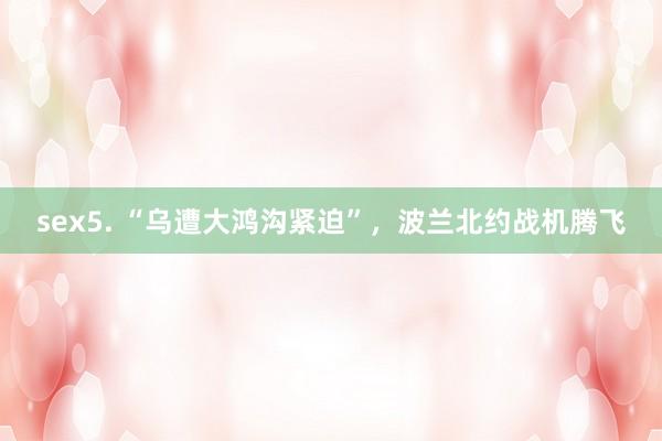 sex5. “乌遭大鸿沟紧迫”，波兰北约战机腾飞