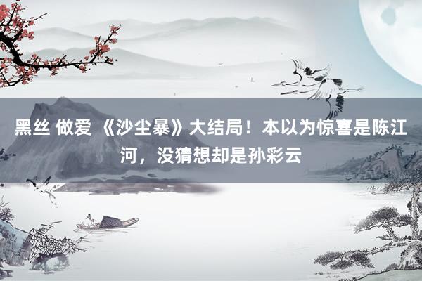 黑丝 做爱 《沙尘暴》大结局！本以为惊喜是陈江河，没猜想却是孙彩云