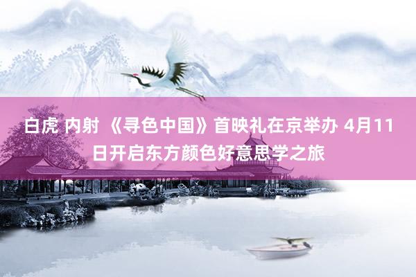 白虎 内射 《寻色中国》首映礼在京举办 4月11日开启东方颜色好意思学之旅