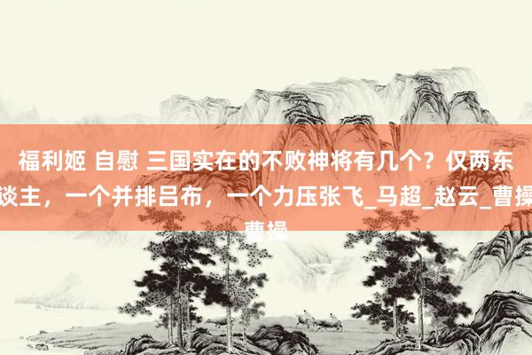 福利姬 自慰 三国实在的不败神将有几个？仅两东谈主，一个并排吕布，一个力压张飞_马超_赵云_曹操