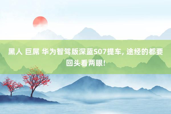 黑人 巨屌 华为智驾版深蓝S07提车， 途经的都要回头看两眼!