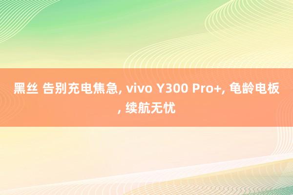 黑丝 告别充电焦急， vivo Y300 Pro+， 龟龄电板， 续航无忧