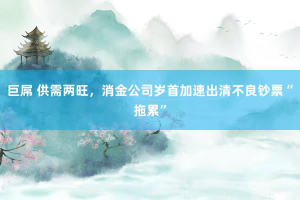 巨屌 供需两旺，消金公司岁首加速出清不良钞票“拖累”
