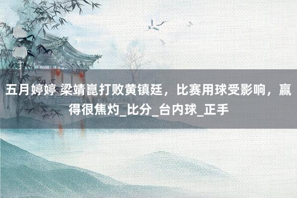 五月婷婷 梁靖崑打败黄镇廷，比赛用球受影响，赢得很焦灼_比分_台内球_正手
