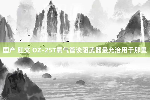 国产 肛交 OZ-25T氧气管谈阻武器最允洽用于那里