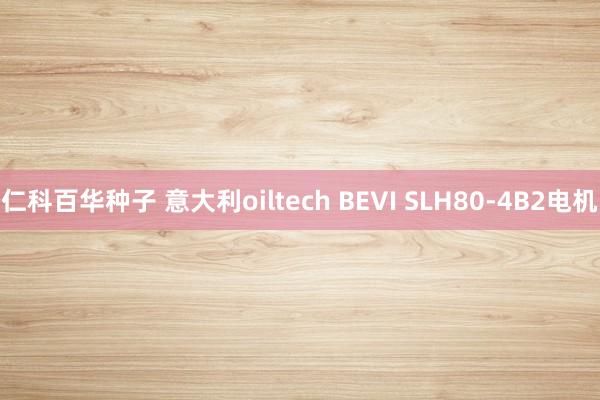 仁科百华种子 意大利oiltech BEVI SLH80-4B2电机