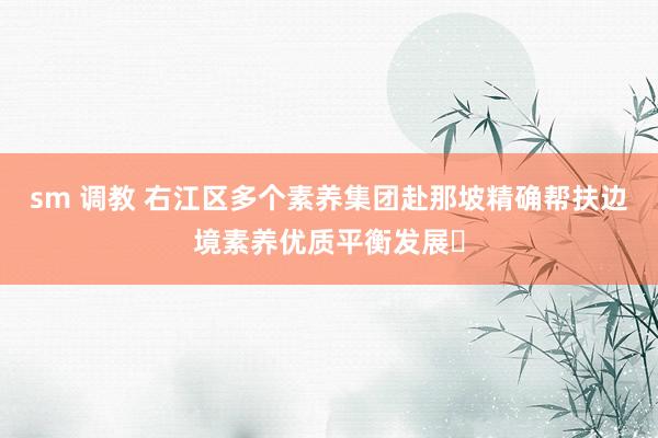 sm 调教 右江区多个素养集团赴那坡精确帮扶边境素养优质平衡发展​
