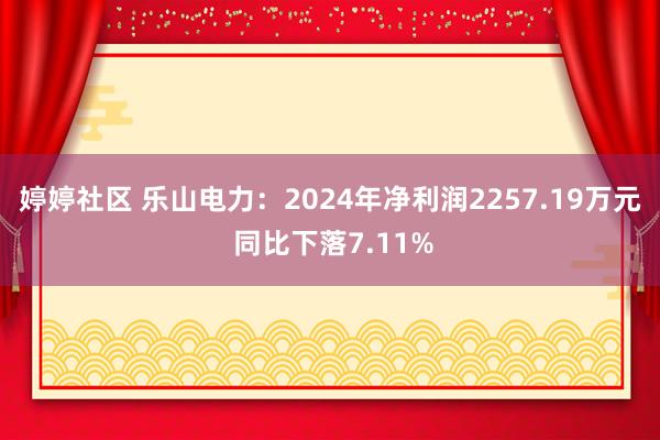 婷婷社区 乐山电力：2024年净利润2257.19万元 同比下落7.11%