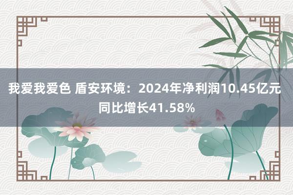 我爱我爱色 盾安环境：2024年净利润10.45亿元 同比增长41.58%