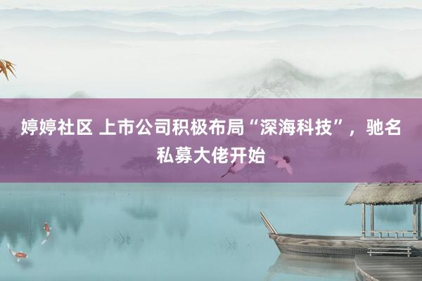 婷婷社区 上市公司积极布局“深海科技”，驰名私募大佬开始