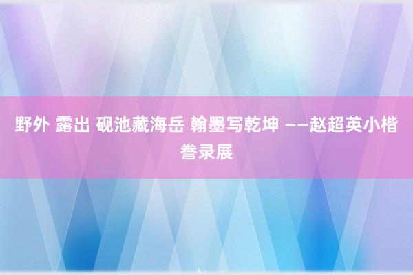 野外 露出 砚池藏海岳 翰墨写乾坤 ——赵超英小楷誊录展