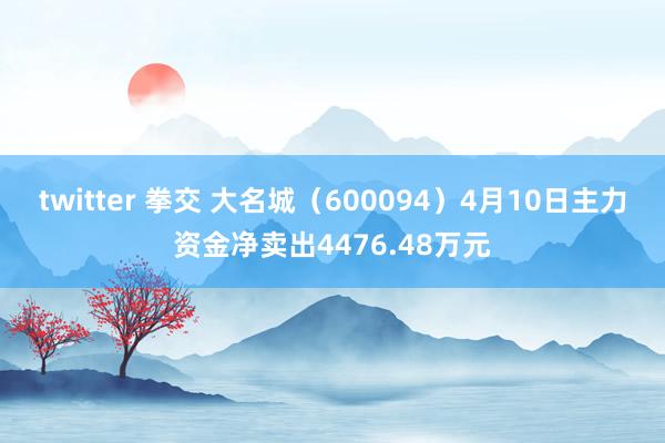 twitter 拳交 大名城（600094）4月10日主力资金净卖出4476.48万元