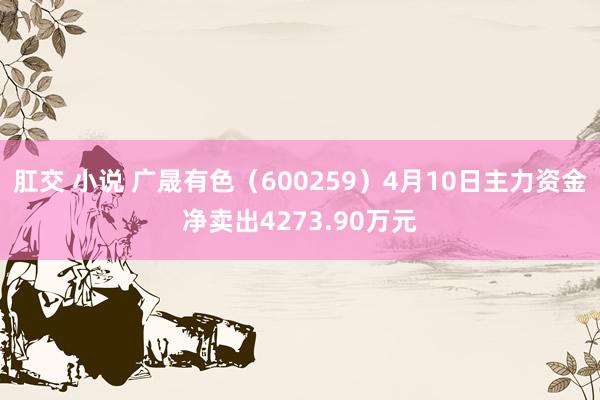 肛交 小说 广晟有色（600259）4月10日主力资金净卖出4273.90万元