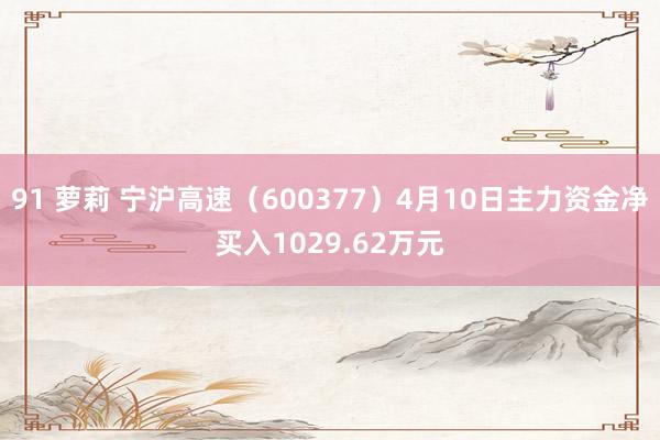 91 萝莉 宁沪高速（600377）4月10日主力资金净买入1029.62万元