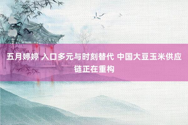 五月婷婷 入口多元与时刻替代 中国大豆玉米供应链正在重构