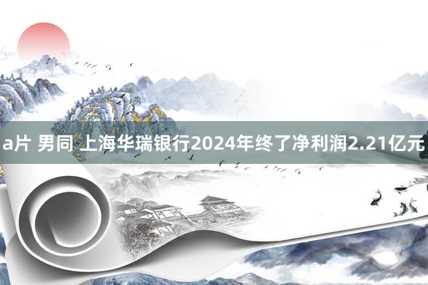 a片 男同 上海华瑞银行2024年终了净利润2.21亿元